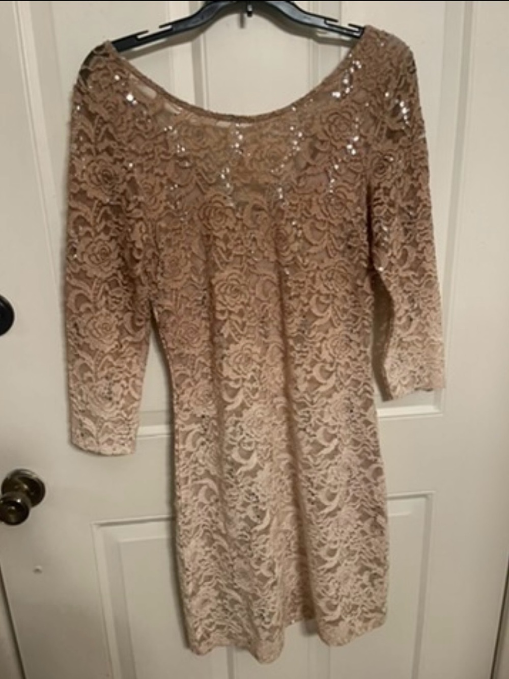 Lace Sequin Sheath Dress in Blush new